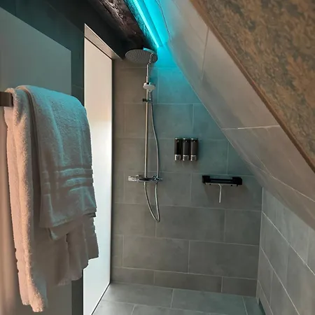 Moderne Suite Goldener Stern In Der Altstadt Mit Wifi Appartement *